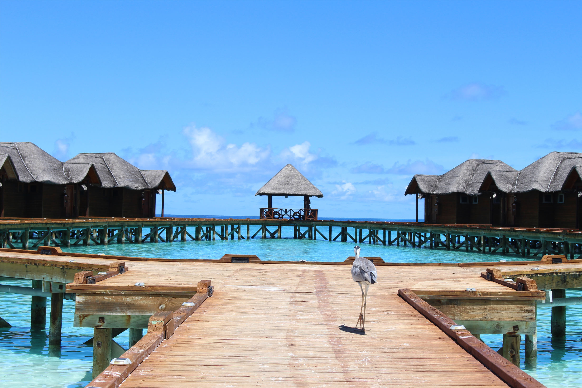 马尔代夫最美景色,最美马尔代夫风景