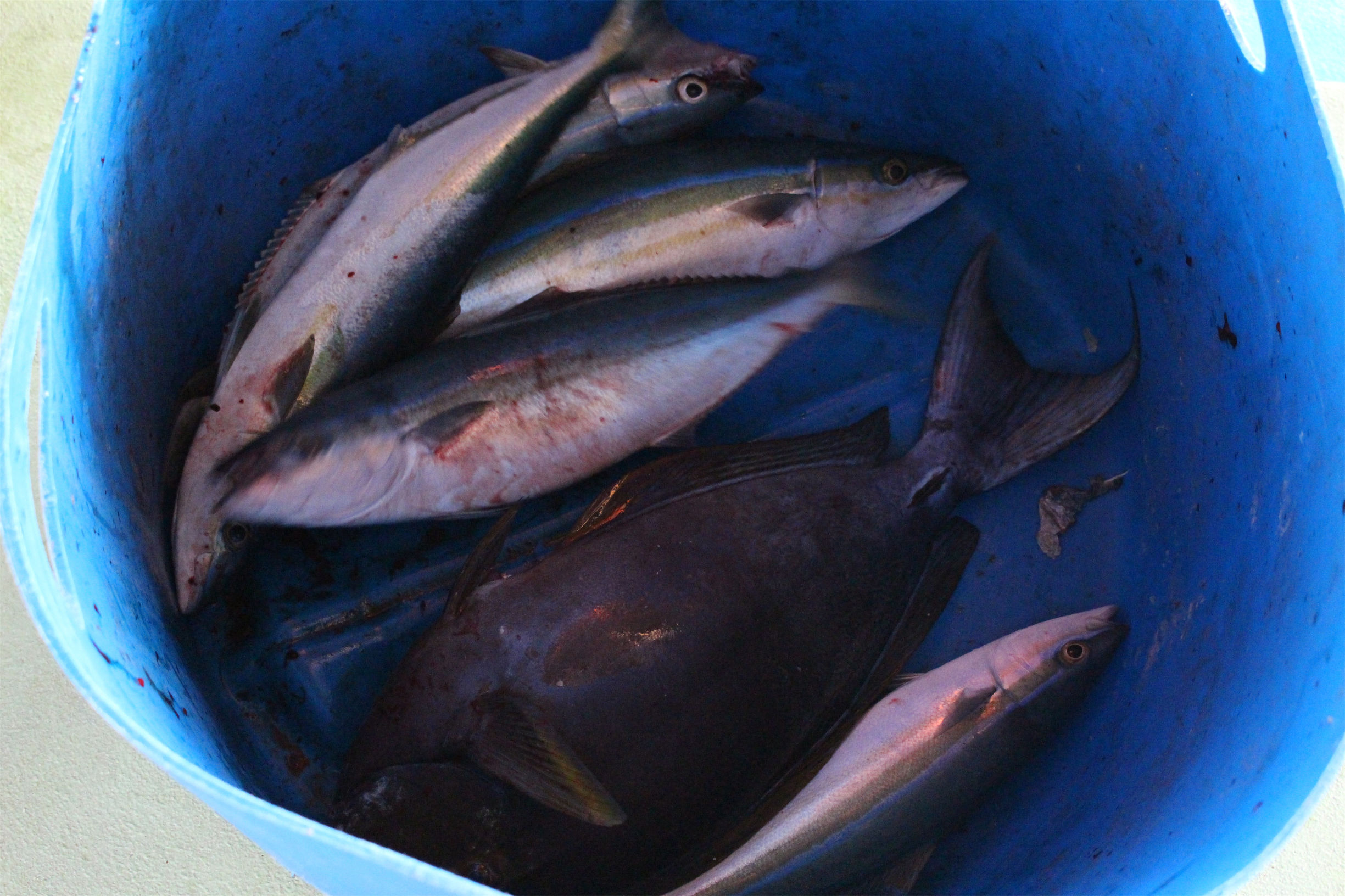 马尔代夫最美景色,最美马尔代夫风景