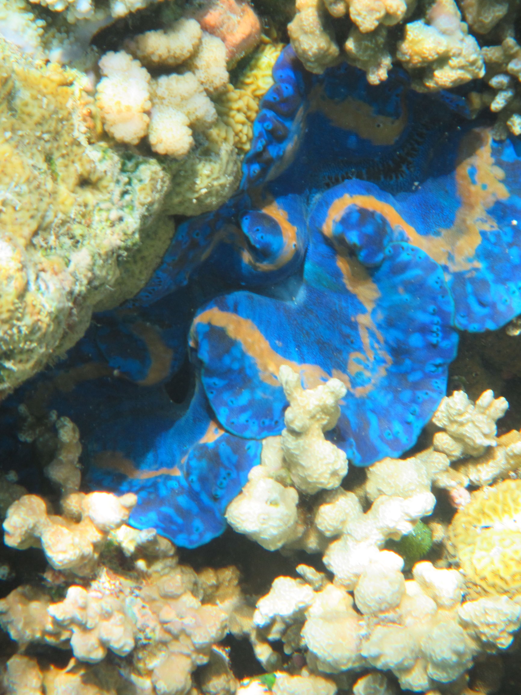 马尔代夫最美景色,最美马尔代夫风景