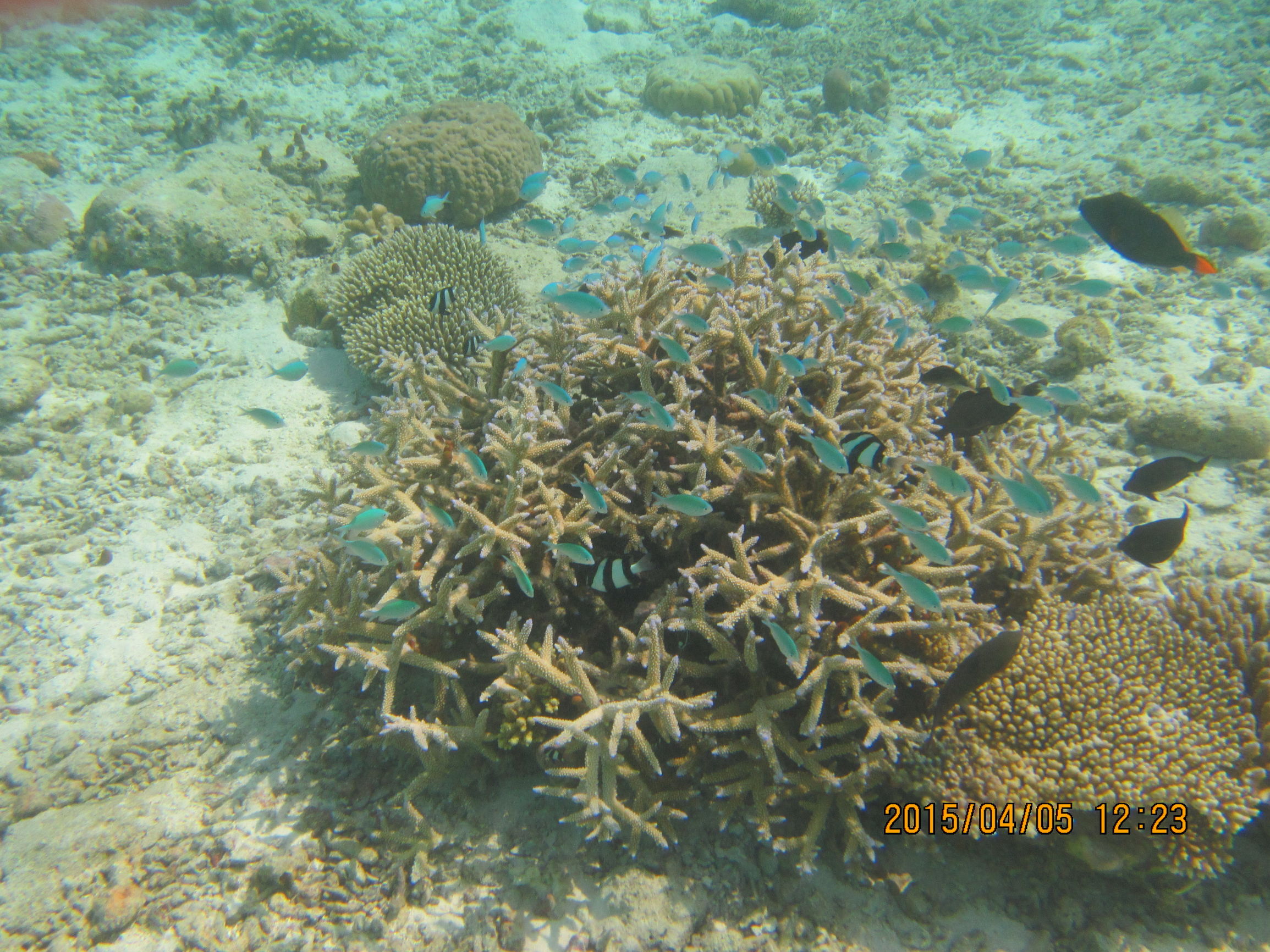 马尔代夫最美景色,最美马尔代夫风景