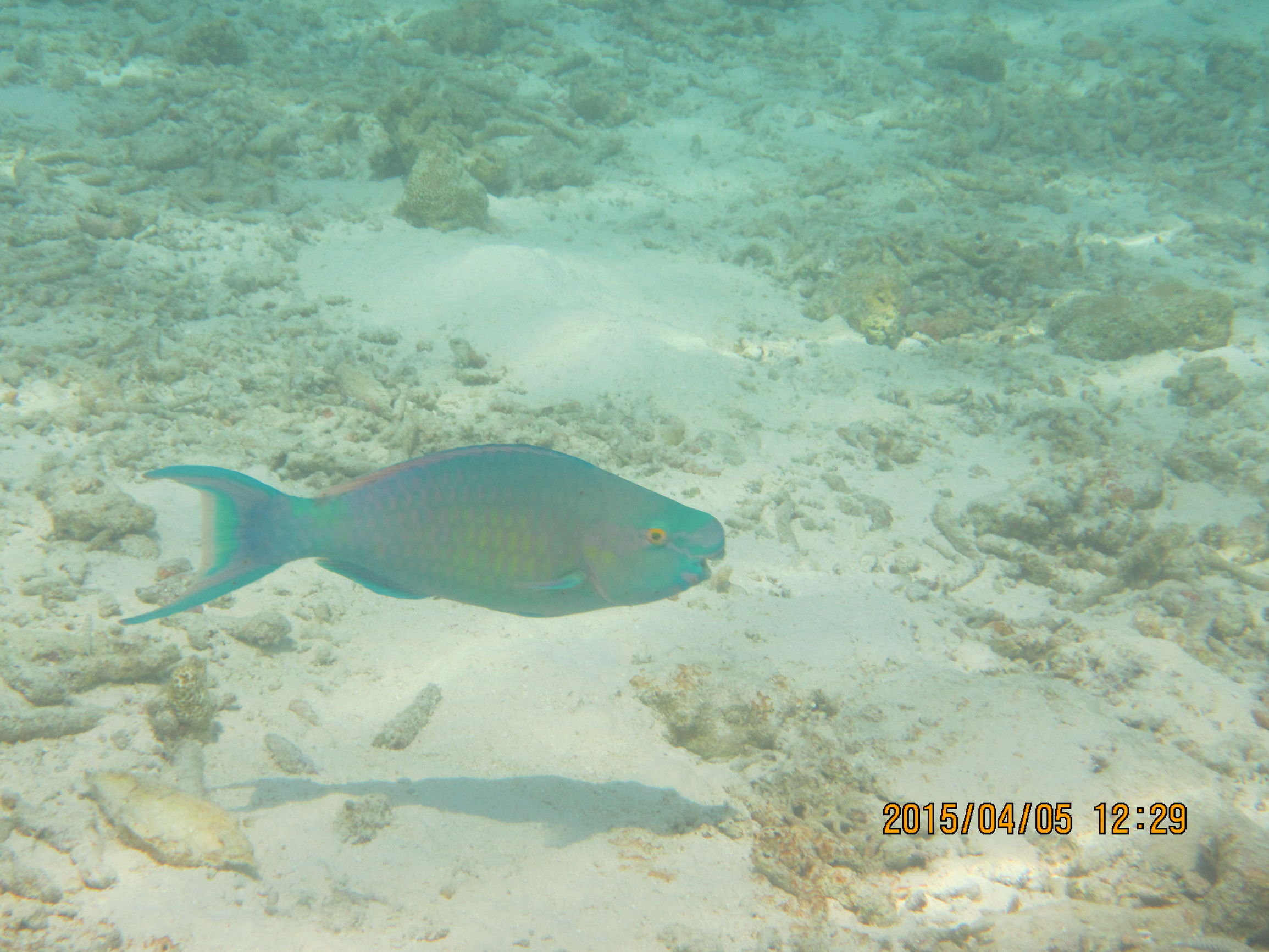 马尔代夫最美景色,最美马尔代夫风景