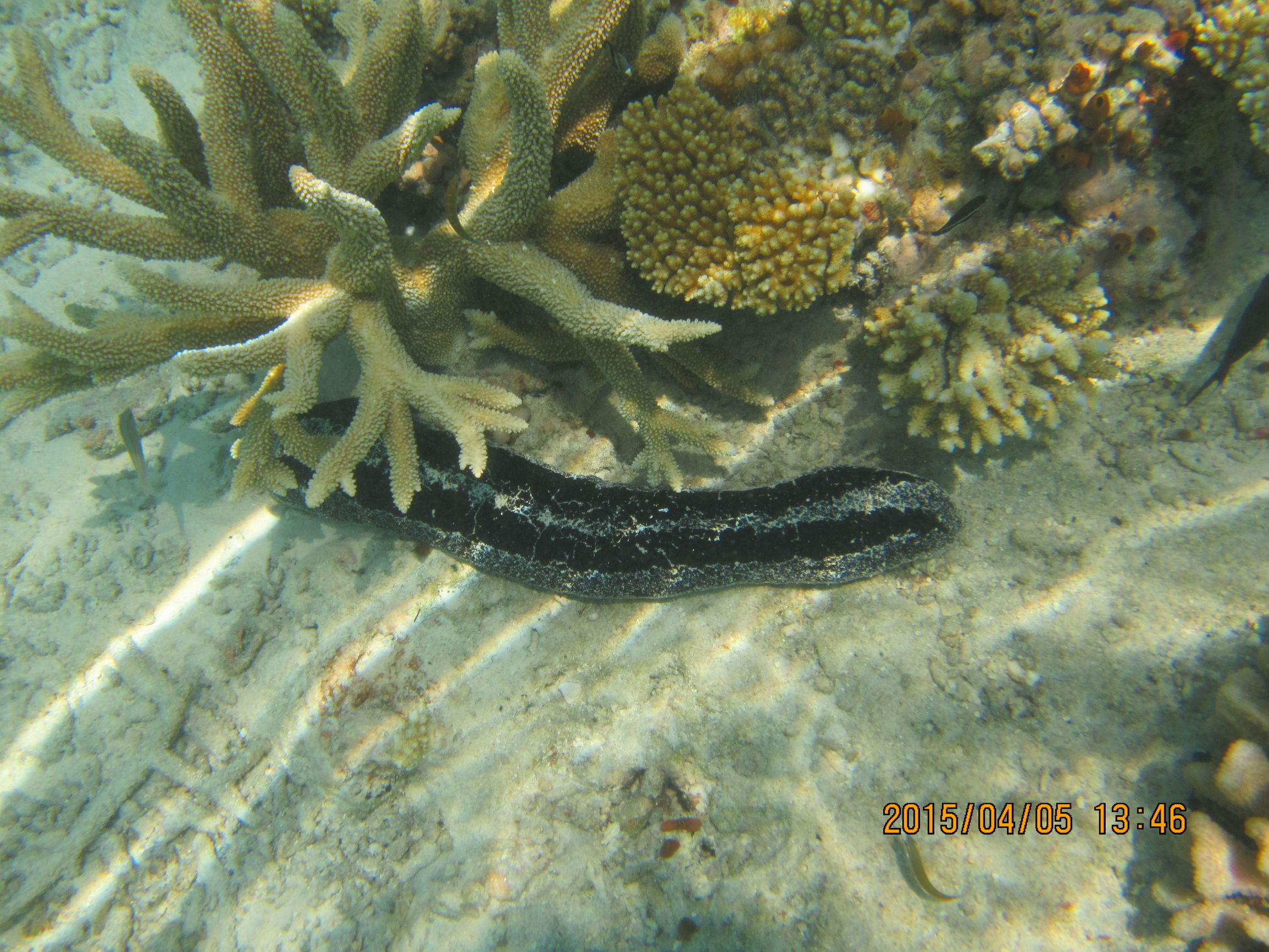 马尔代夫最美景色,最美马尔代夫风景