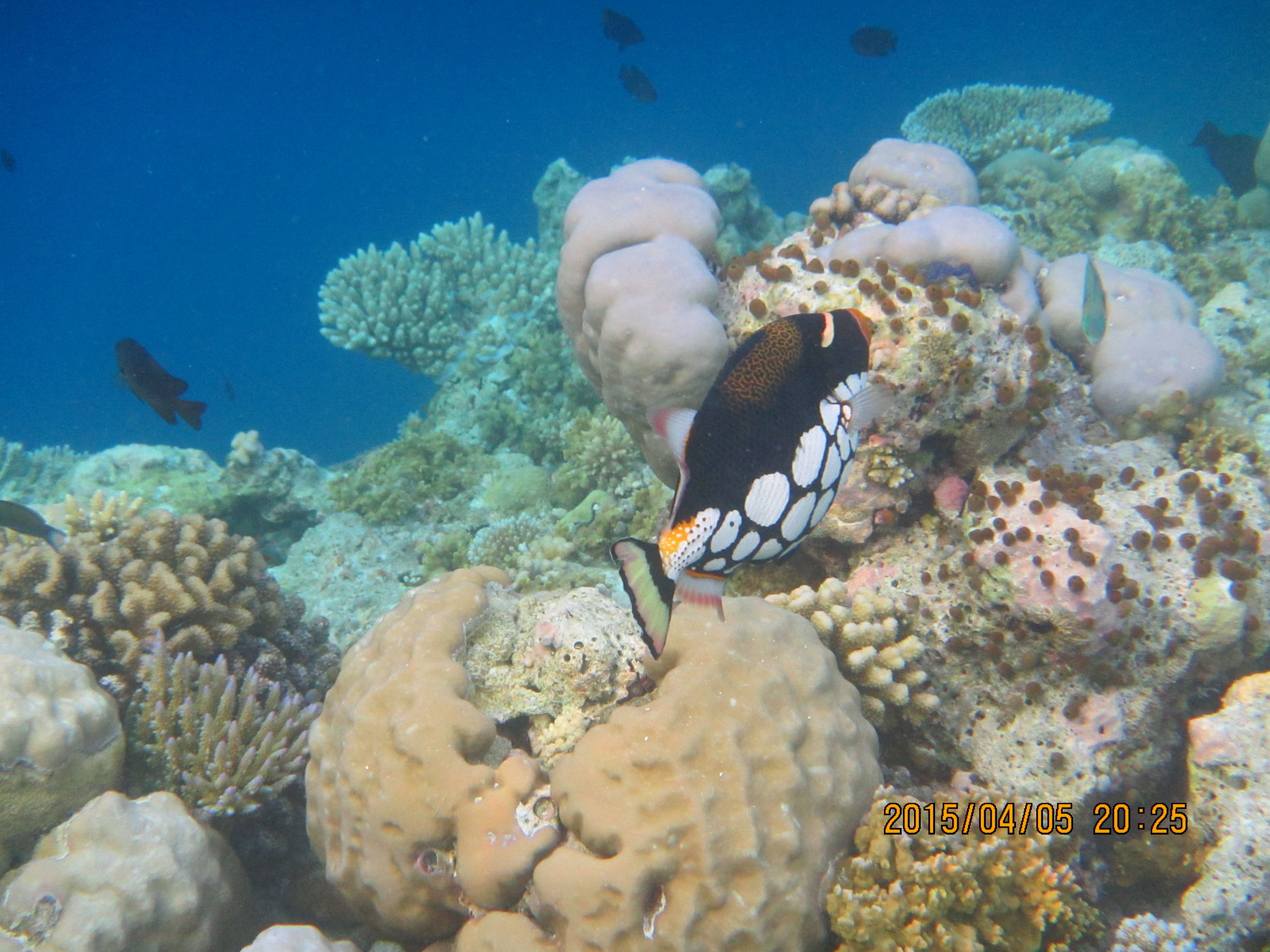 马尔代夫最美景色,最美马尔代夫风景