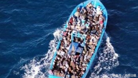 奶粉红星贝拉米总裁离职，奶粉库存爆仓投资者不满股价跌20%