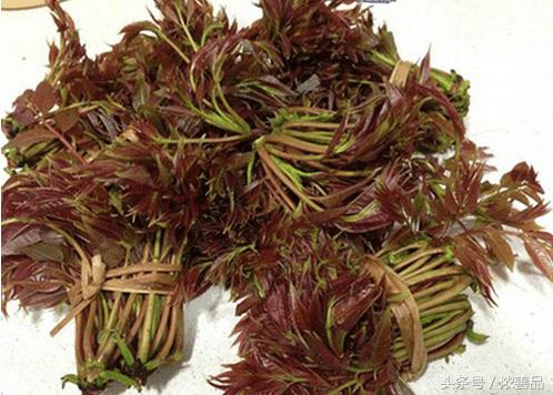 一种长在树上的野菜,营养价值名列前茅,难怪大家都爱吃!