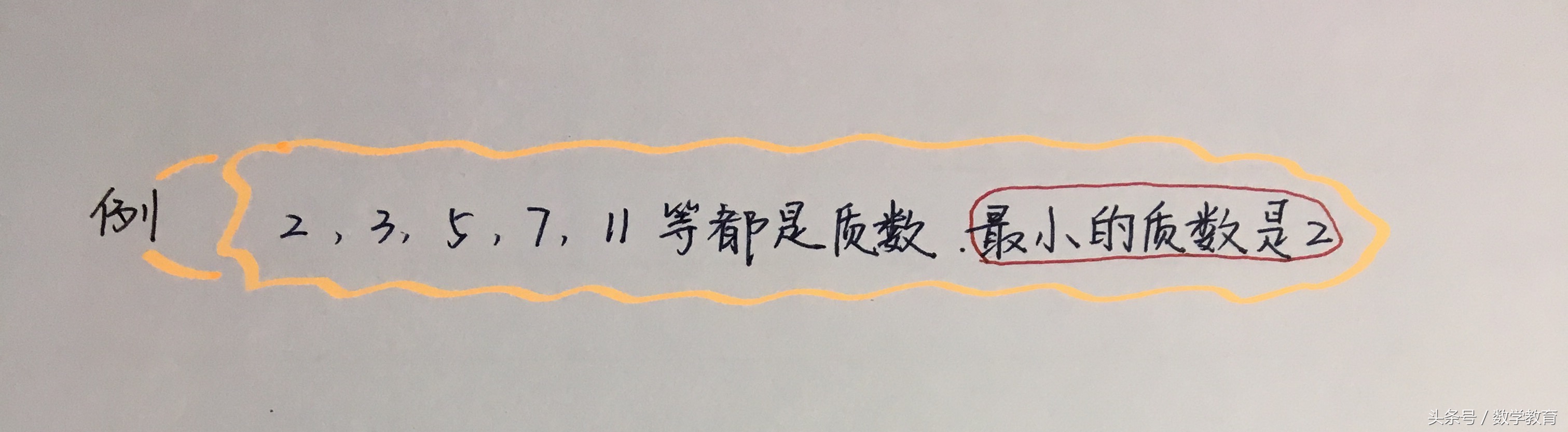 20以内的质数思维训练,100以内质数口诀儿童容易背