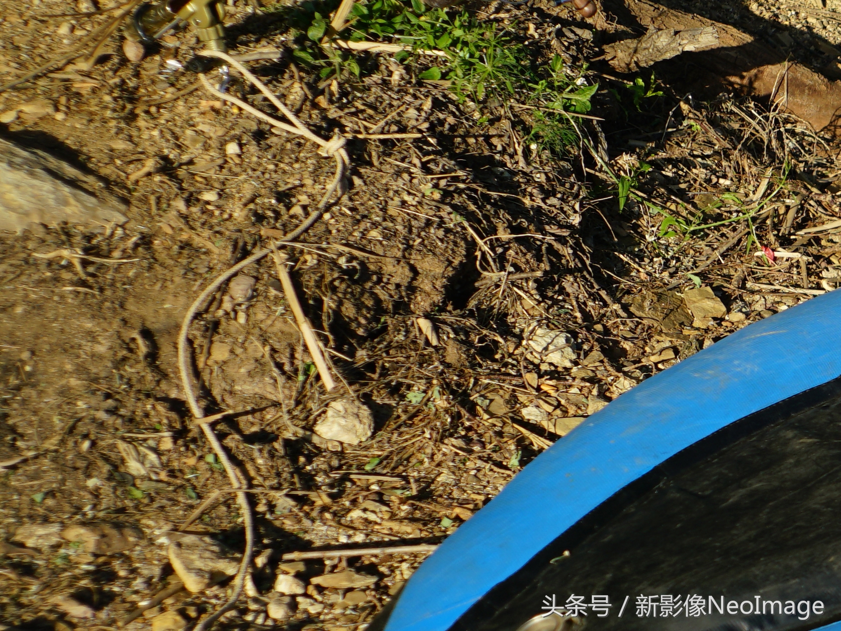 找回胶片的色调——康泰时G28镜头使用报告