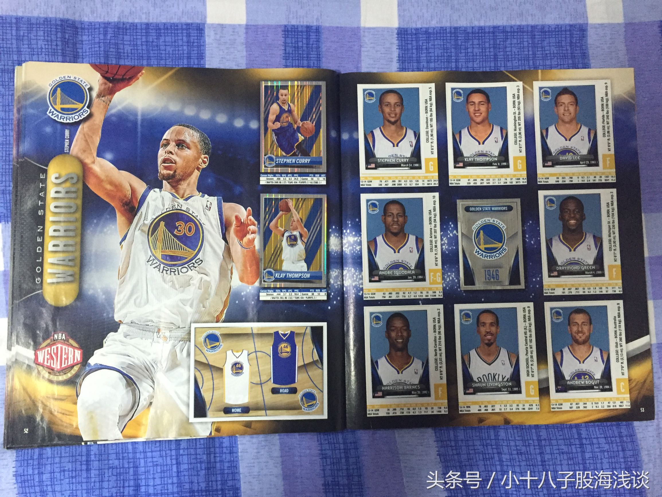 帕尼尼nba贴纸,nba帕尼尼贴纸卡