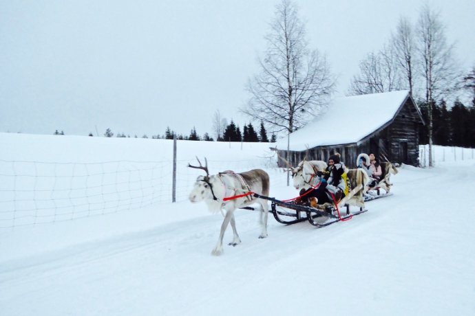 雪地桑拿和裸奔，北极光啊我等到花儿也谢了