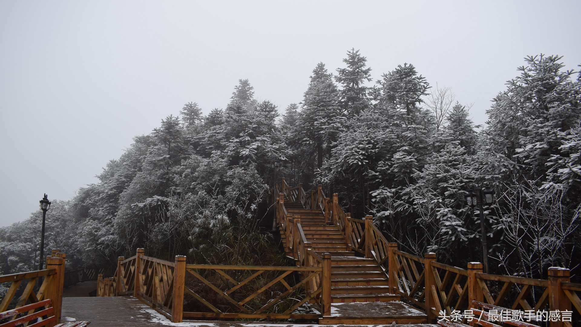 尼康d3300相机推荐新手入门,尼康d3300单反相机入门教程