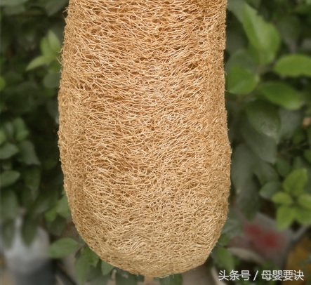 小儿哮喘要用什么药效果很好呢,小儿哮喘要喷药吗