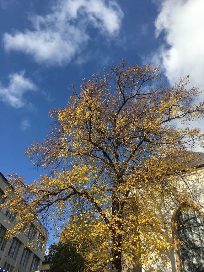 欧洲慢时光,在欧洲的时光