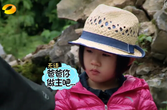贝儿杨阳洋费曼摘菠萝,爸爸去哪儿贝儿杨阳洋费曼