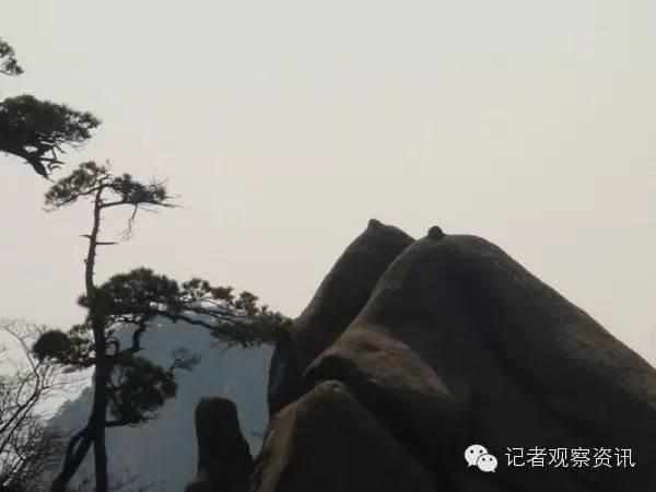 不可思议的十六大奇观,不可思议的六大奇观现象