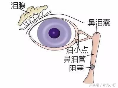 宝宝出生就睁眼睛怎么回事,宝宝出生眼皮一直都睁不大