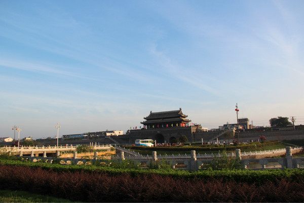 寿县特色老鹅,安徽寿县老盐鹅