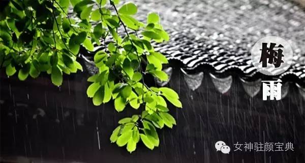 体质痰湿湿热,湿热体质和痰湿体质的区别