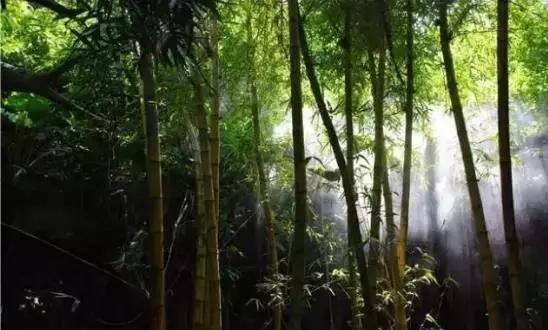 深圳最合适带女友拍照的地方,深圳哪里拍情侣写真照好看