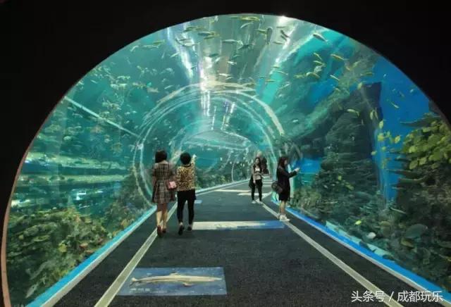 对不起，我们就爱待在成都！