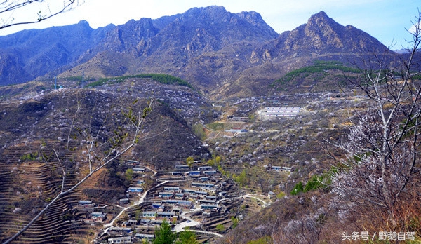 北京郊区房山蒲洼自驾游,房山野鹅旅游攻略