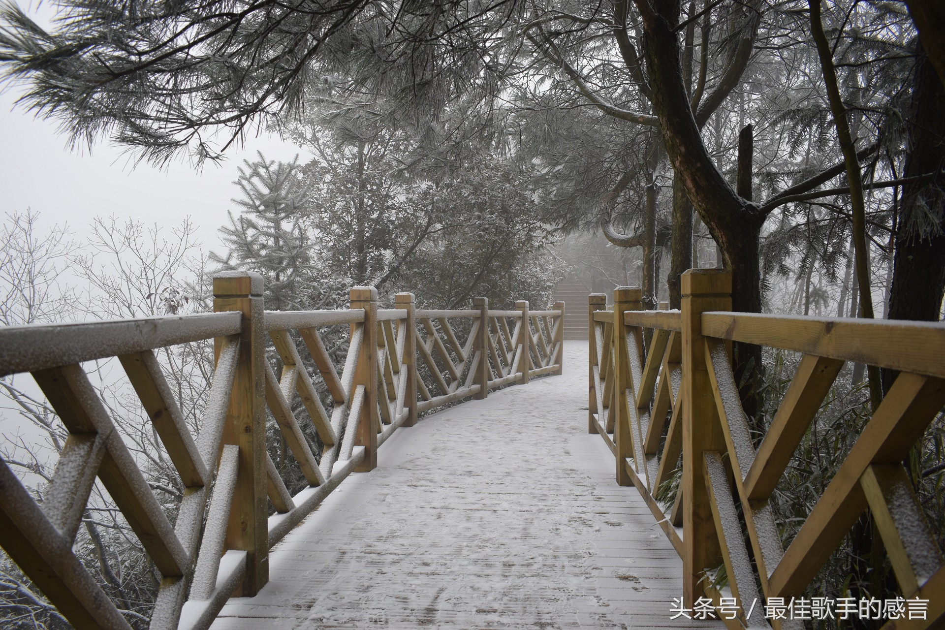 尼康d3300相机推荐新手入门,尼康d3300单反相机入门教程