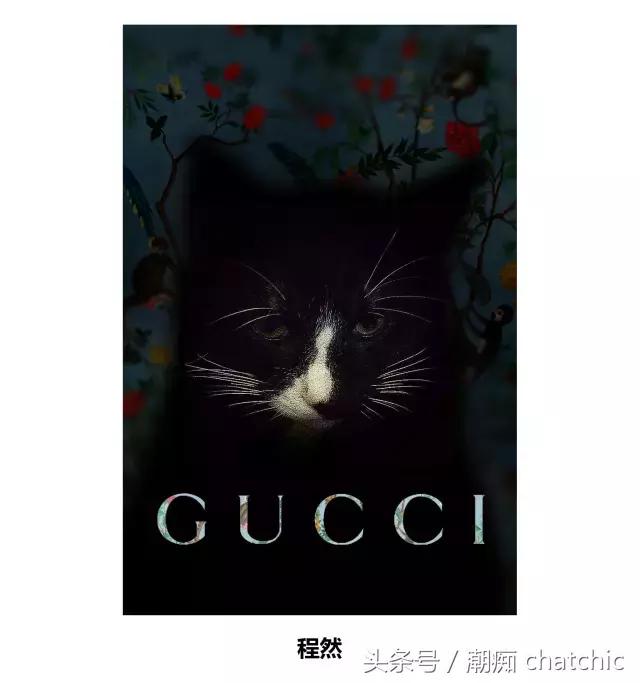 NewGucci:一本正经地有趣,经验老到地纯真!
