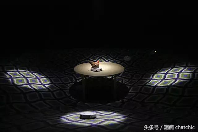 NewGucci:一本正经地有趣,经验老到地纯真!