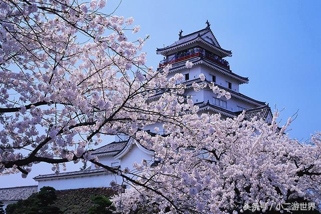 消费税免税店和保税免税店傻傻分不清楚?日本退税全攻略