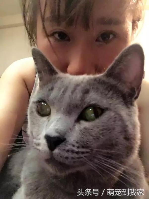 老猫的养猫日记 (网瘾少年养猫)