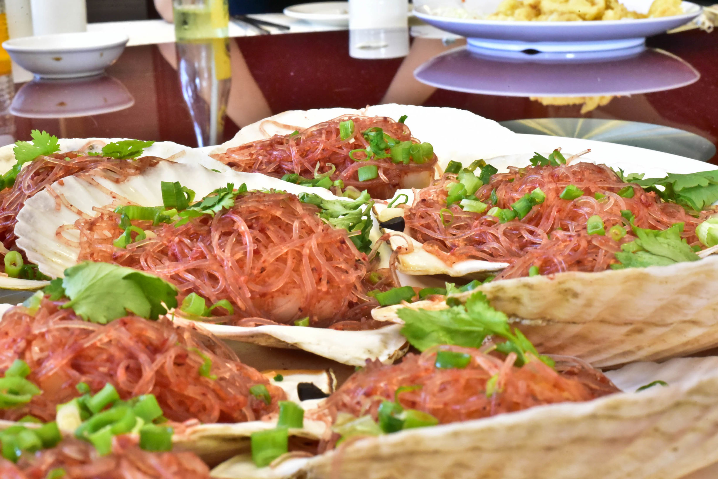 兔子游日本,兔子海边旅行记