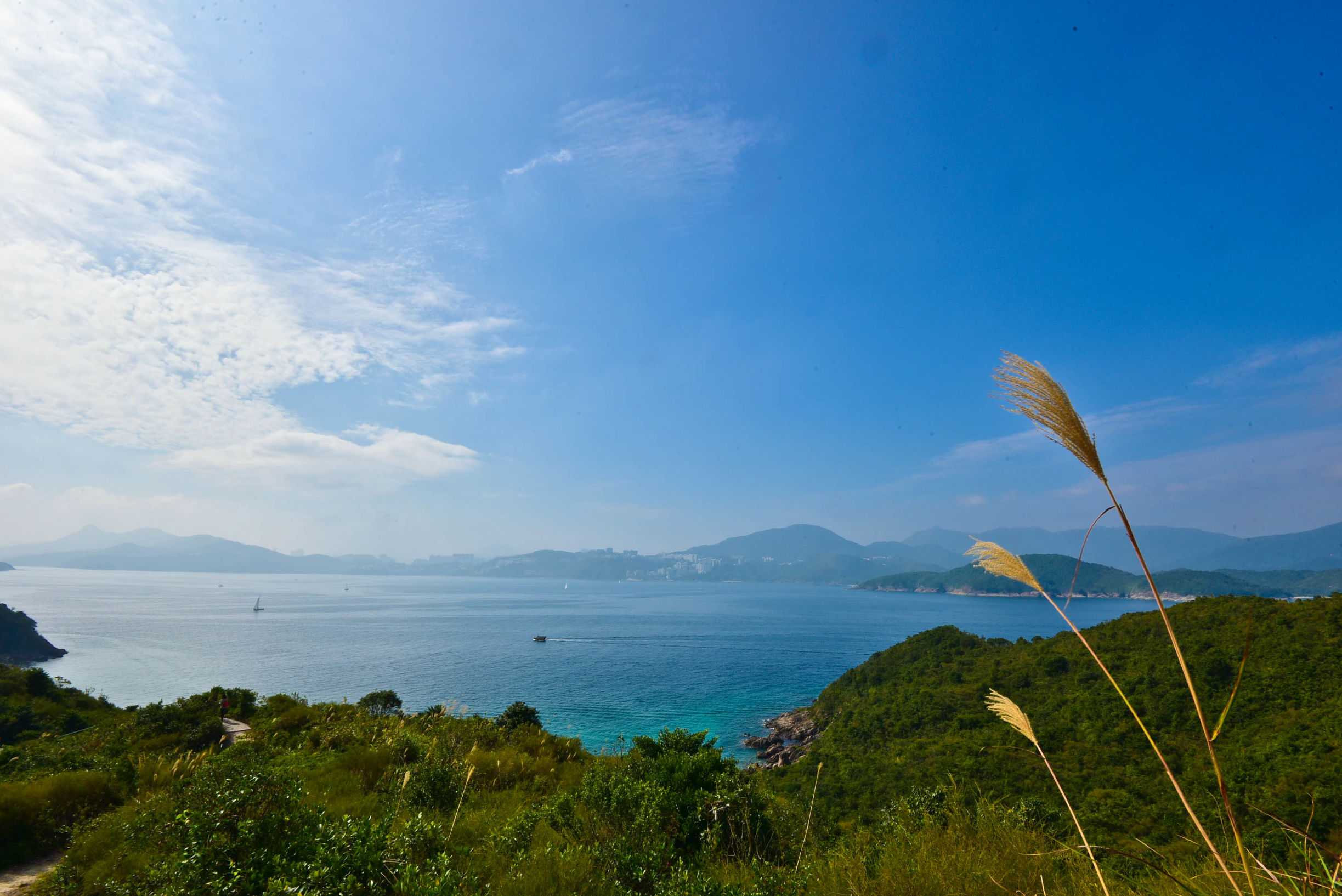 兔子游日本,兔子海边旅行记