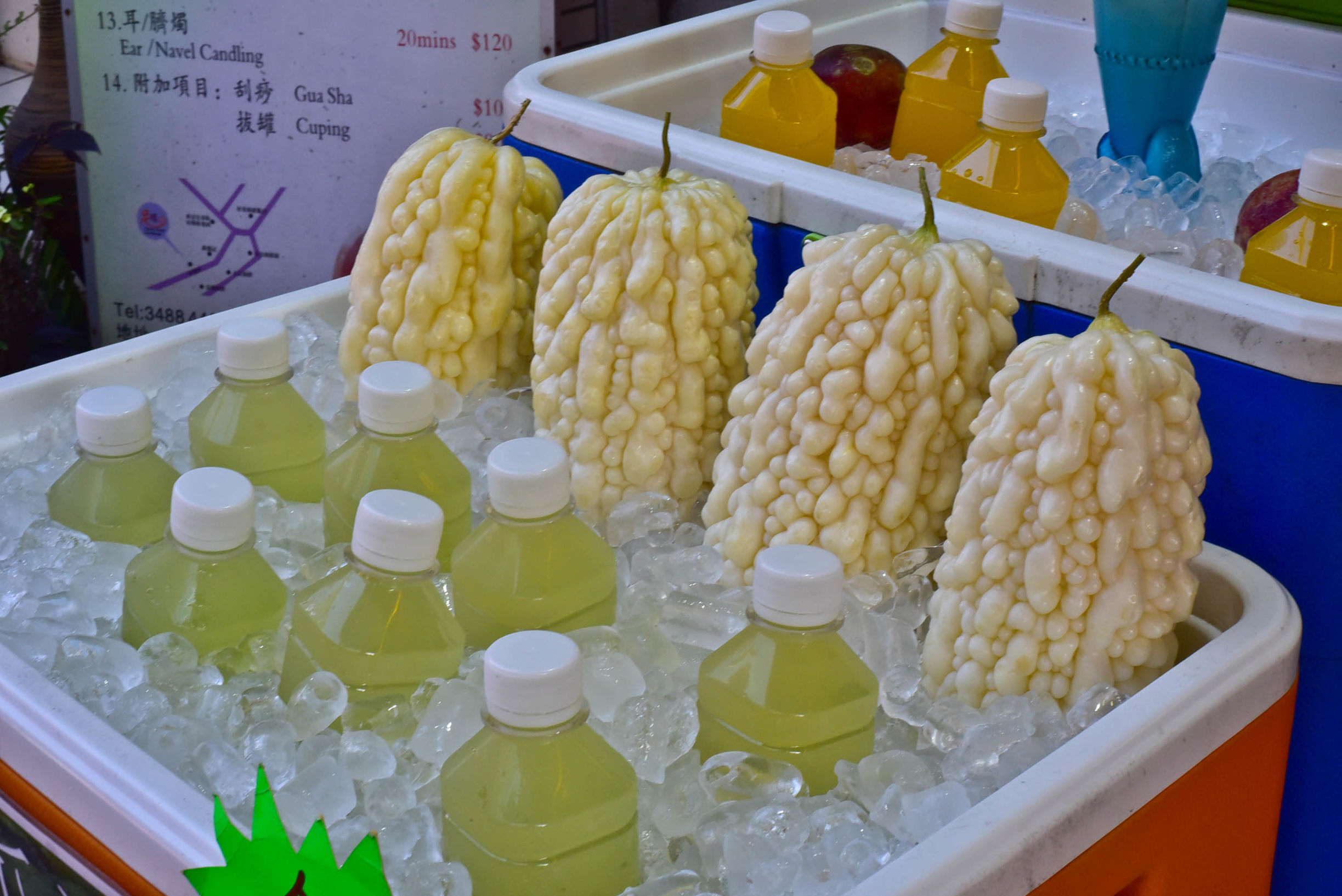 兔子游日本,兔子海边旅行记