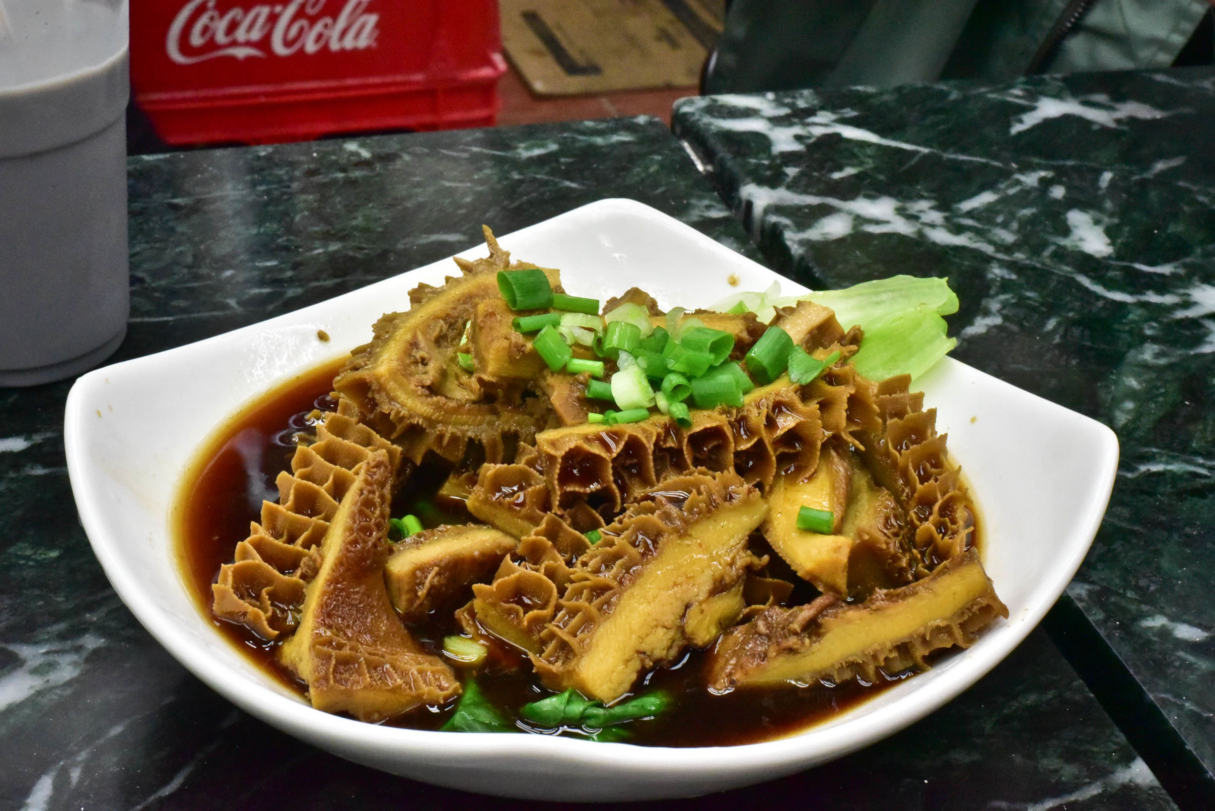 兔子游日本,兔子海边旅行记