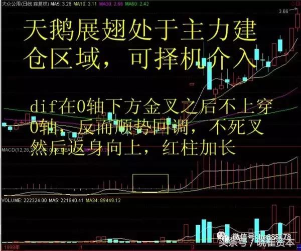 macd八大形态,干货macd