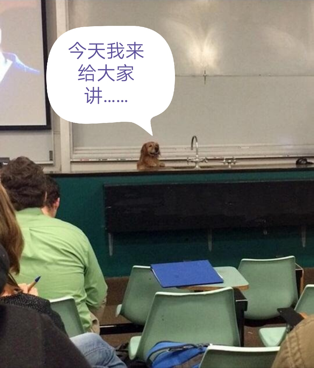 笑话十则，我在搞笑，借着热闹，掩盖着心跳母鸡开花