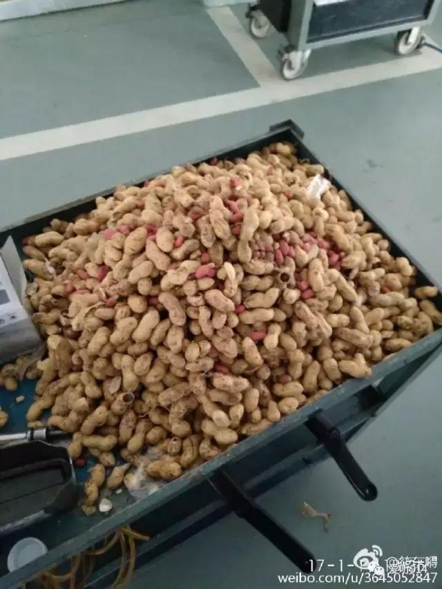 老鼠在车里藏花生嗷嗷叫,老鼠在车里藏粮食