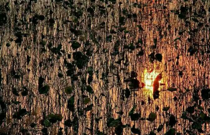 给摄影爱好者的十二条摄影经验,看完这组摄影作品你还淡定吗