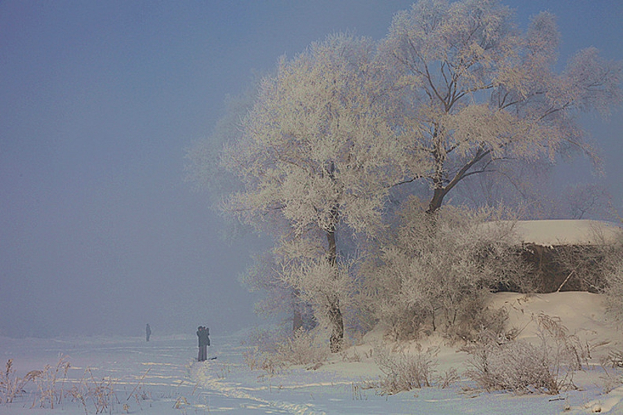 吉林雾凇岛的好看的雾凇倒影图片,吉林雾凇岛和雪谷雾凇岭