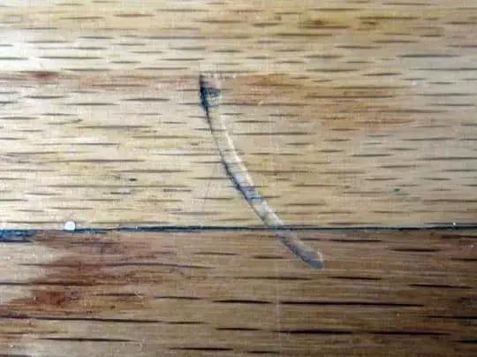 大扫除家具怎样清洁,家居清洁打扫必备