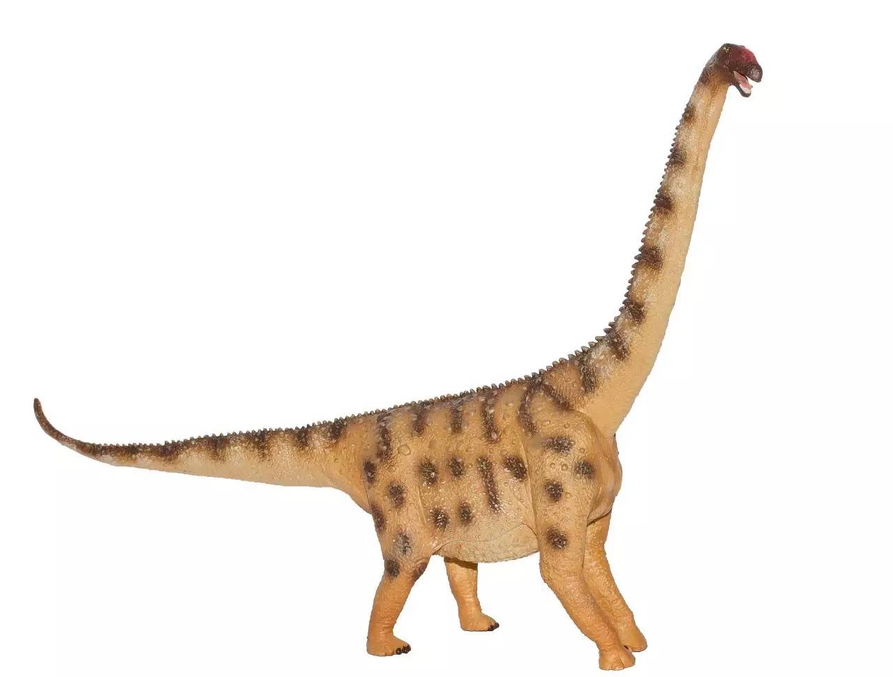 最实用的十款玩具推荐,生命里最好的玩具