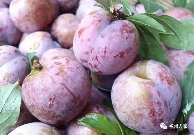 福建汀州土特产,福建零食特产有哪些