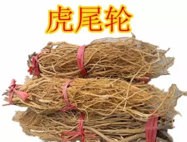 福建汀州土特产,福建零食特产有哪些