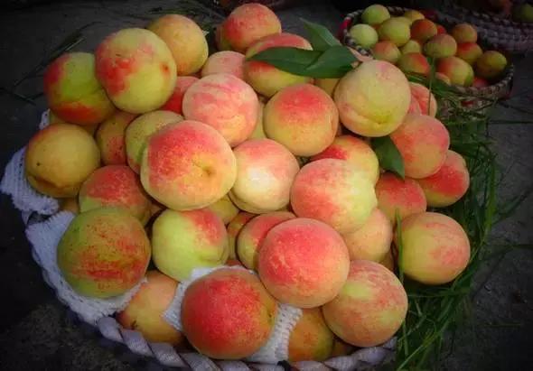 福建汀州土特产,福建零食特产有哪些