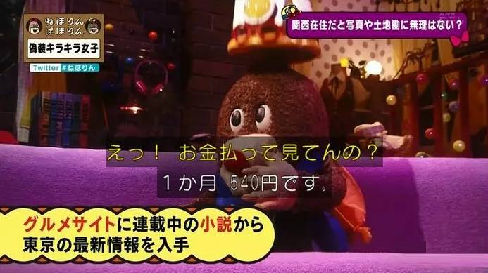 淘宝白富美,淘宝网红店揭秘