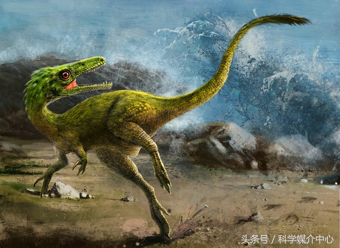 食草恐龙有什么种类,中国棘龙科恐龙种类