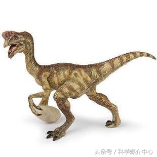 食草恐龙有什么种类,中国棘龙科恐龙种类