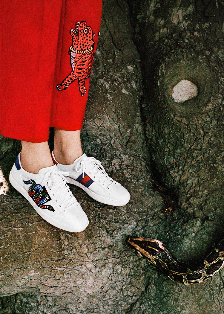 gucci最新款休闲鞋小白鞋直播,gucci小白鞋2019款