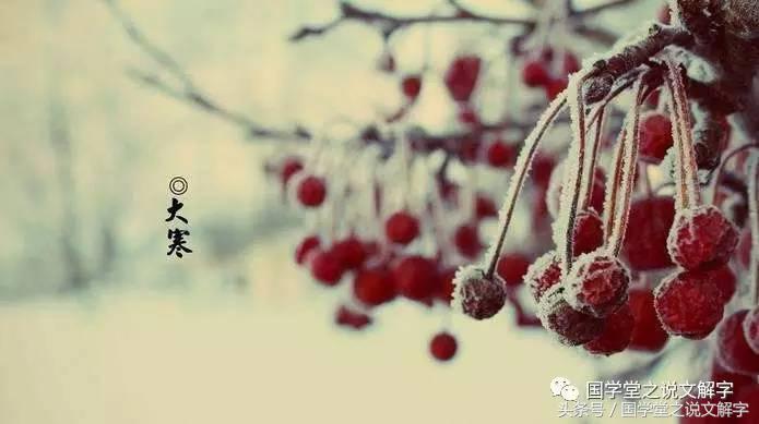 大寒和寒潮一样吗,今日大寒有多冷