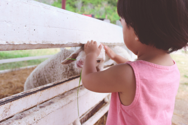 泰国带娃自助游攻略,泰国带娃旅游必备清单