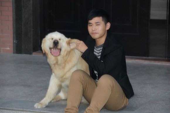 过年回家宠物应该怎么安置,过年回家宠物怎么寄养